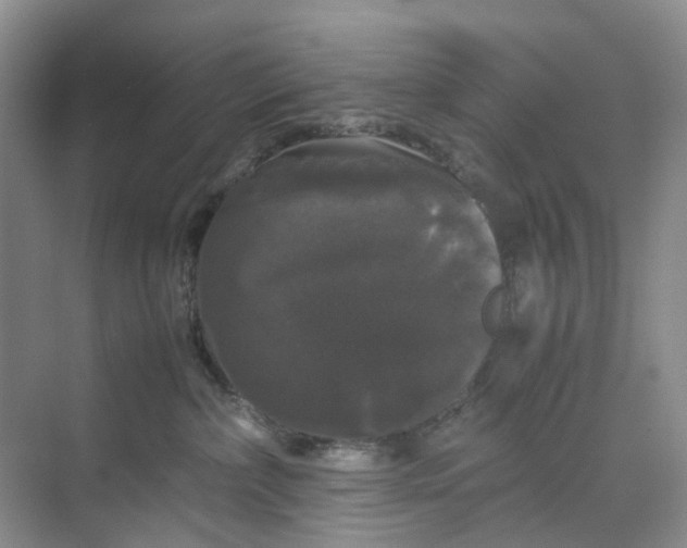 X0000070170236200606091449