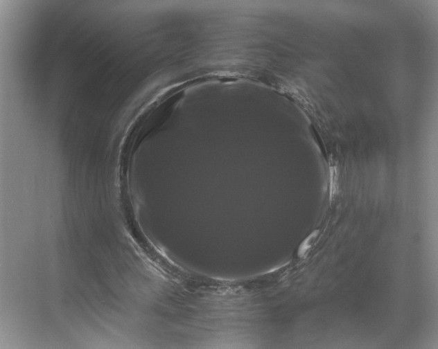 X0000070170243200606091448