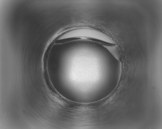 X0000070170246200606091448