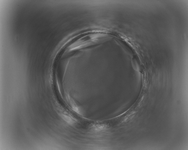 X0000070170247200606091448