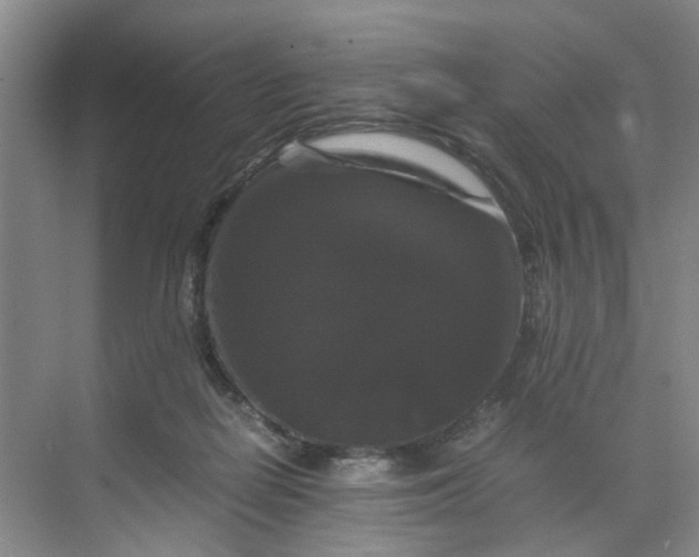 X0000070170266200606091448