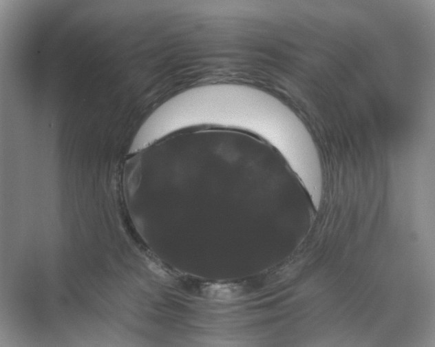 X0000070170277200606091448