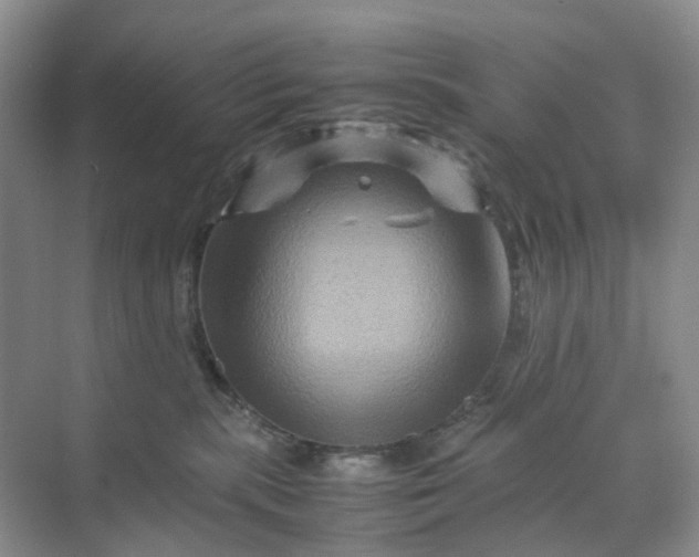 X0000070170283200606091448