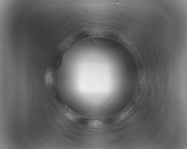 X0000070170287200606091449