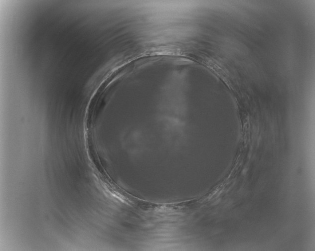 X0000070170290200606091448