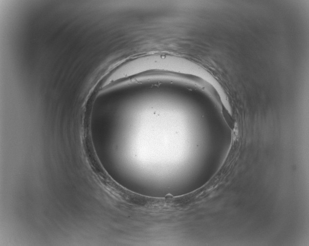 X0000070170291200606091448