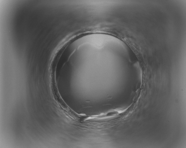 X0000070170295200606091448
