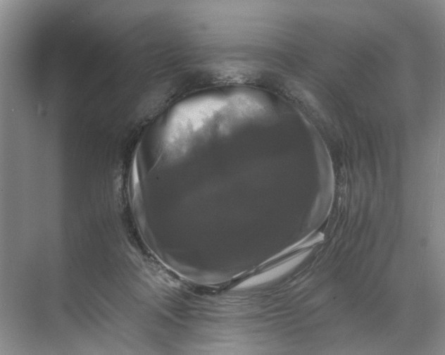 X0000070170314200606091447