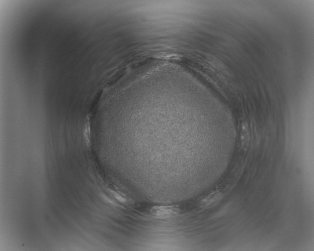 X0000070170320200606091447