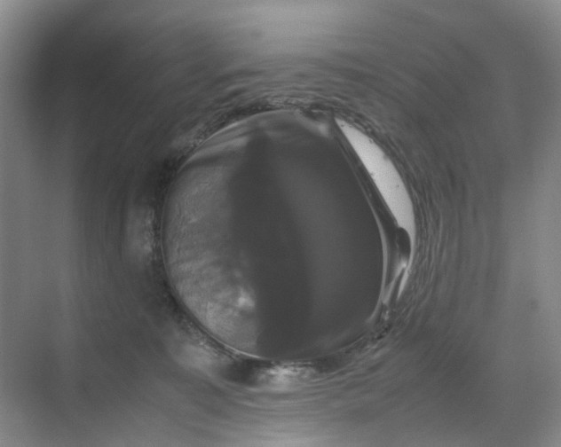 X0000070170323200606091447