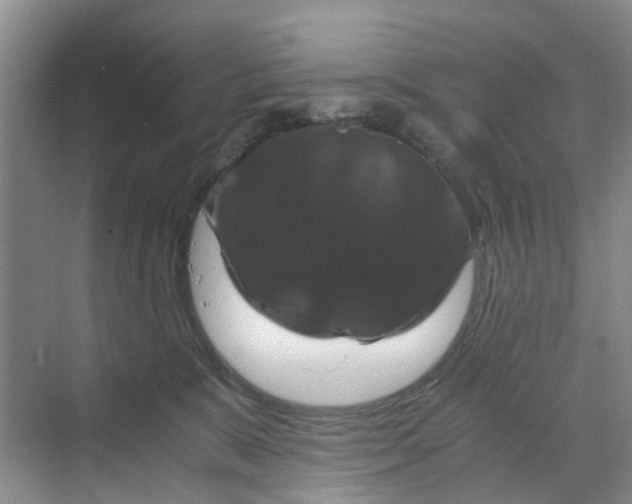 X0000070170327200606091447