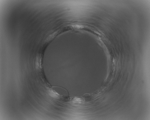 X0000070170330200606091447