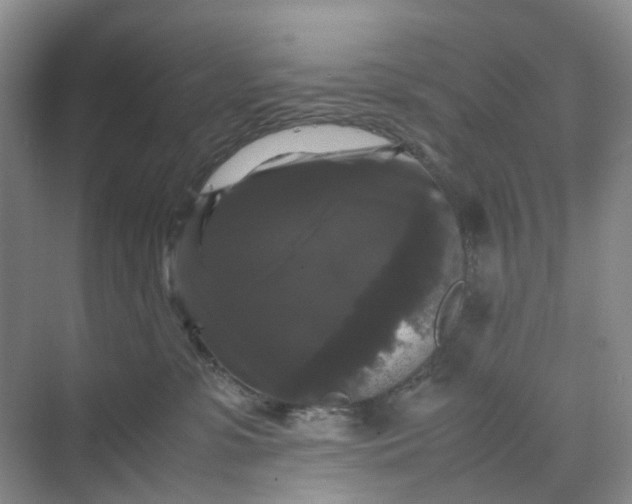 X0000070170331200606091447
