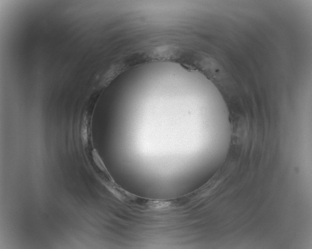 X0000070170334200606091447