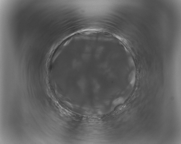 X0000070170337200606091446
