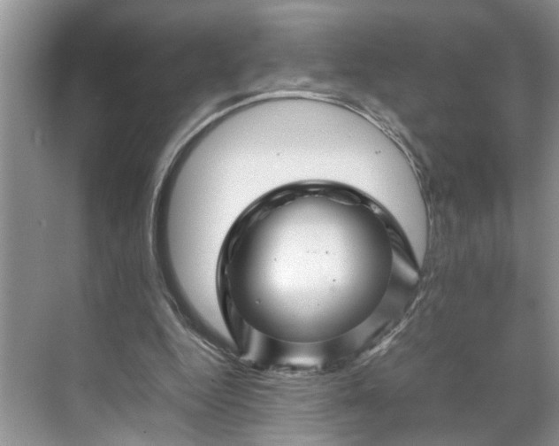 X0000070170344200606091446