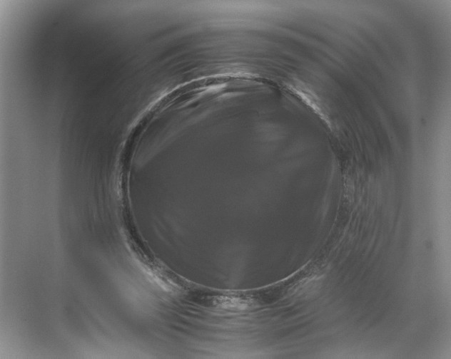 X0000070170347200606091446