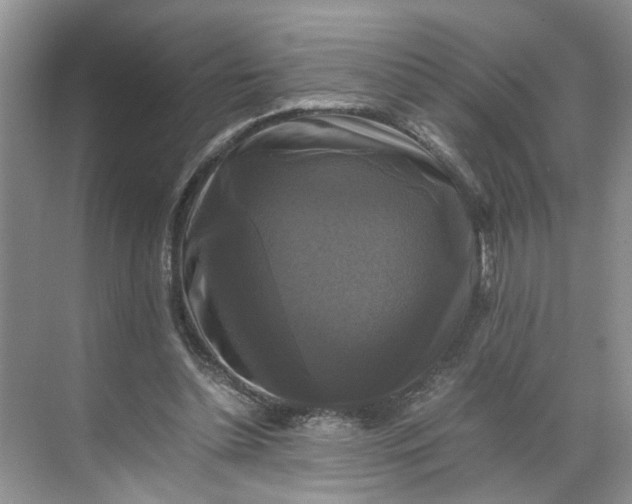 X0000070170348200606091446
