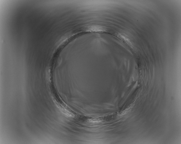 X0000070170351200606091446