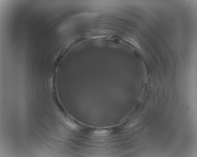 X0000070170357200606091447