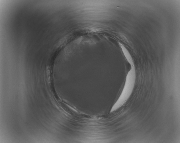 X0000070170366200606091447