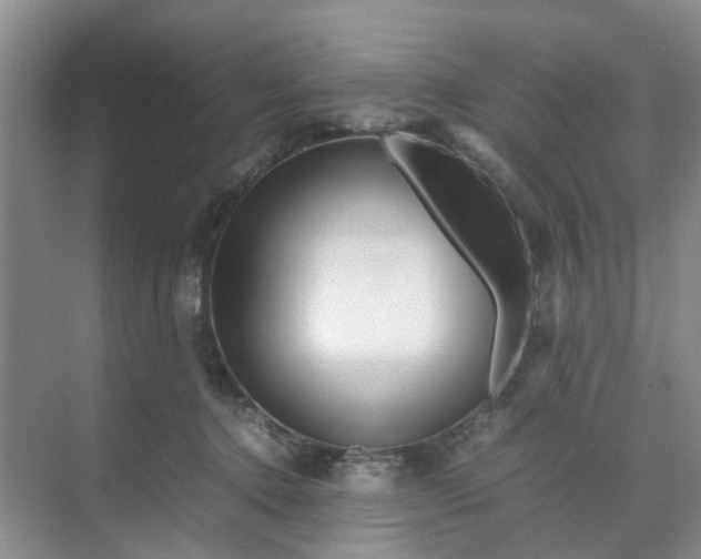 X0000070170368200606091447
