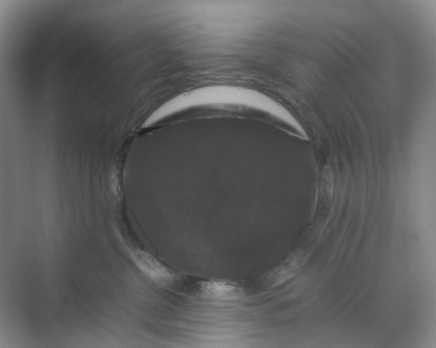 X0000070170380200606091447
