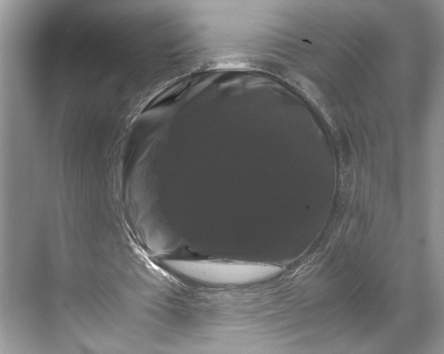 X0000070170385200606091446