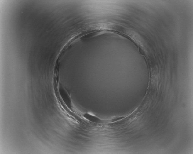 X0000070170386200606091446