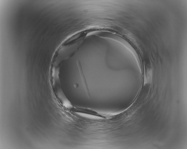 X0000070170387200606091446