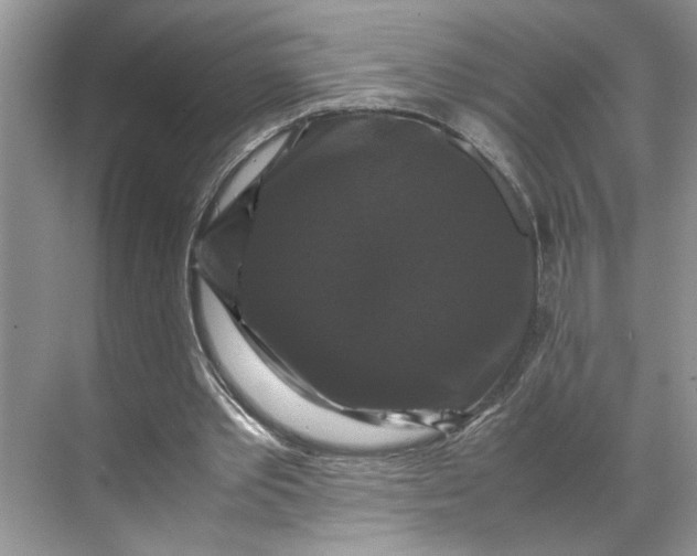 X0000070170389200606091446