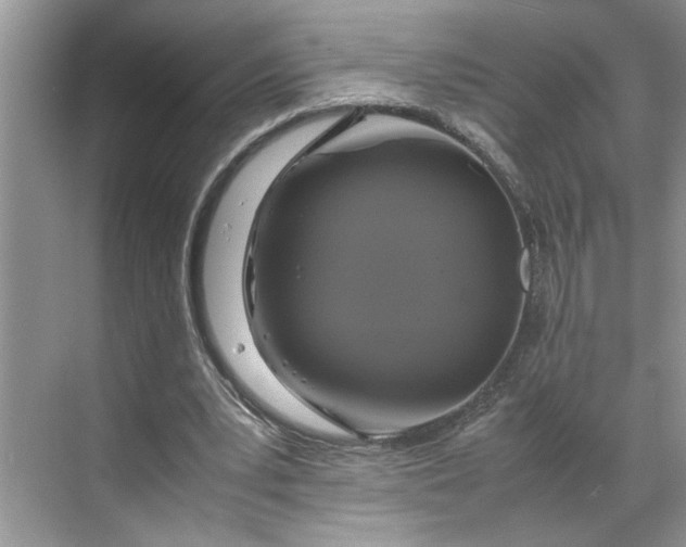 X0000070170391200606091446