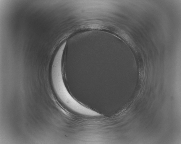 X0000070170397200606091446