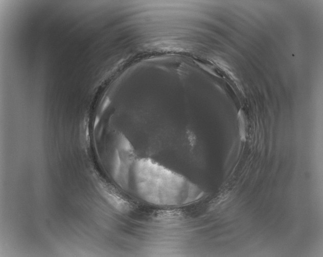 X0000070170398200606091446