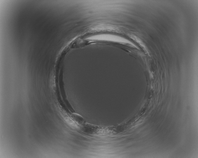 X0000070170399200606091446