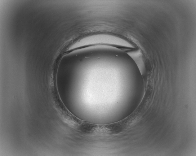 X0000070170403200606091446