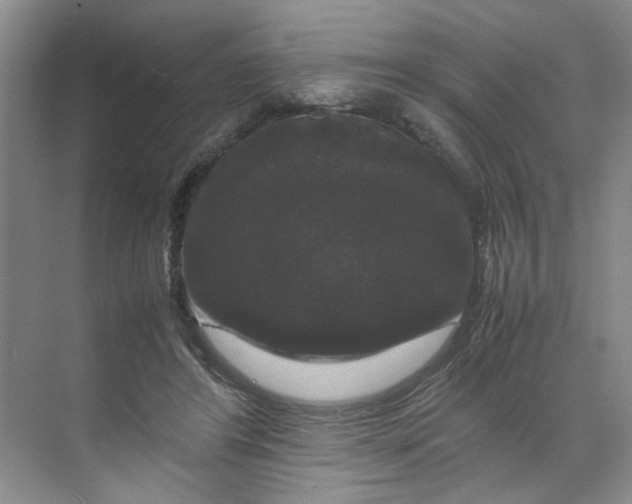 X0000070170404200606091446