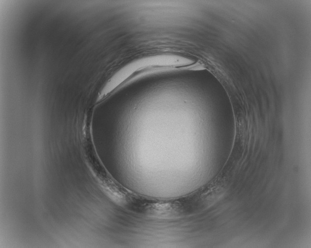 X0000070170406200606091446