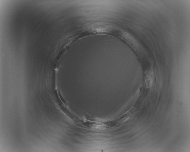 X0000070170410200606091446