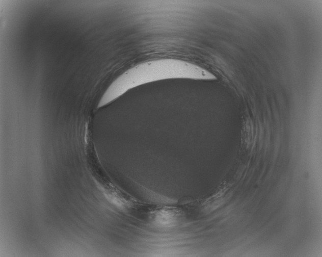 X0000070170412200606091446