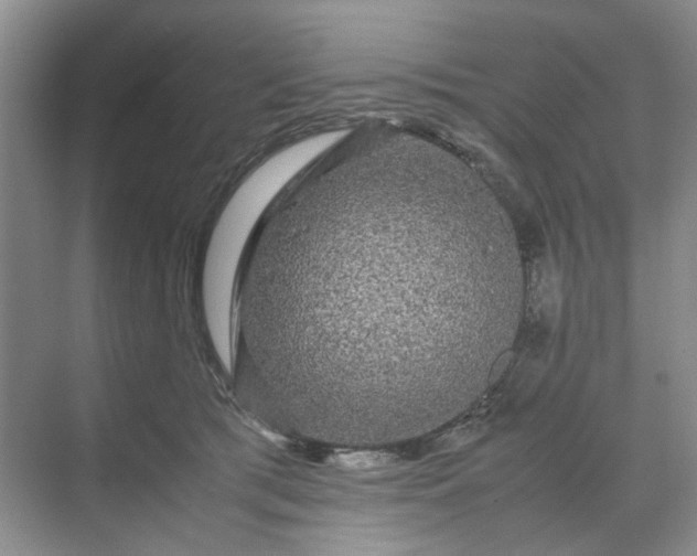 X0000070170417200606091446