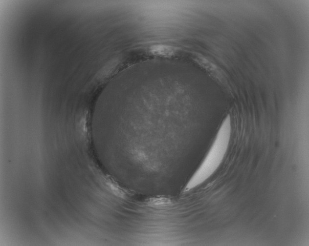 X0000070170424200606091446