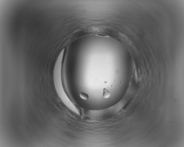X0000070170425200606091445