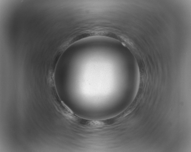 X0000070170429200606091445