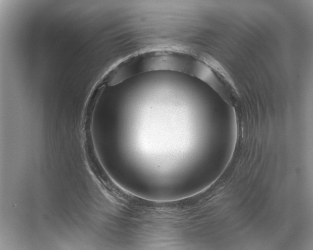 X0000070170436200606091445
