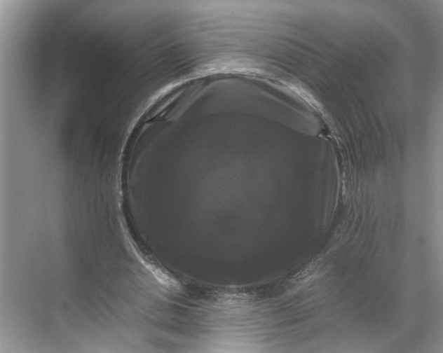 X0000070170438200606091445
