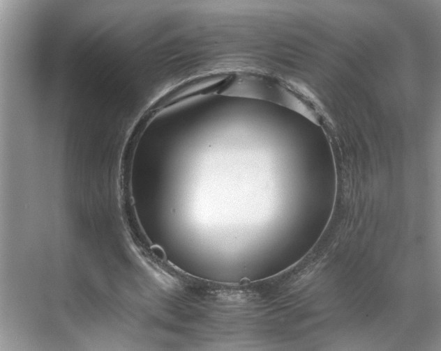 X0000070170439200606091445