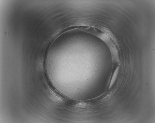 X0000070170441200606091445