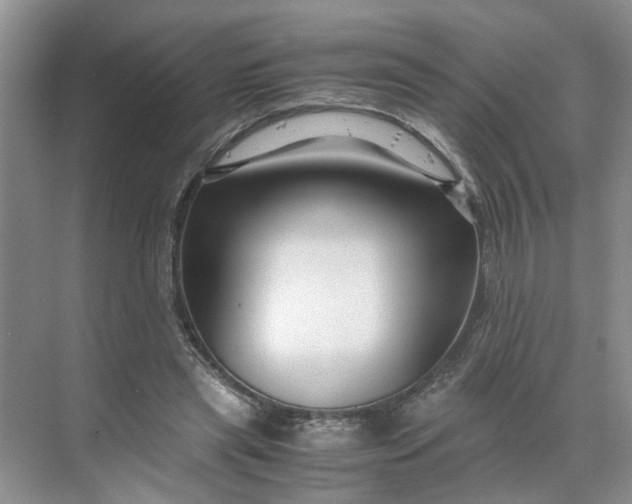 X0000070170445200606091445