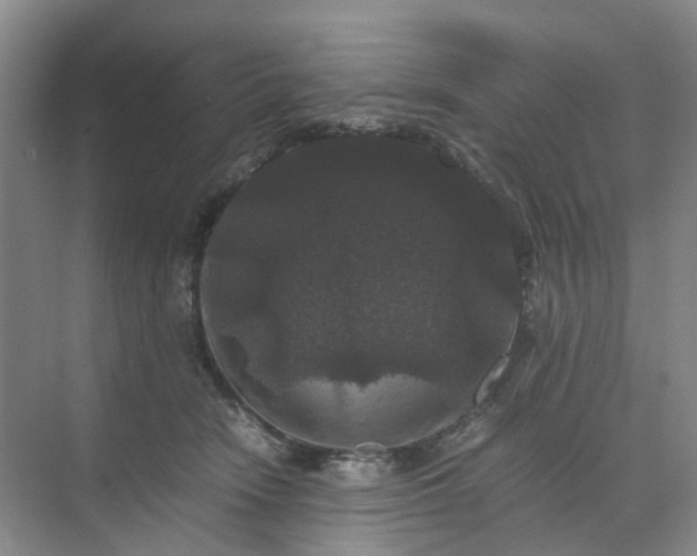 X0000070170466200606091445
